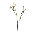 Flores secas artificial 64cm