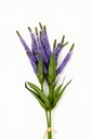 Pasto artificial Lila 43cm