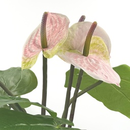 [230033092] Planta artificial Anturio 45cm